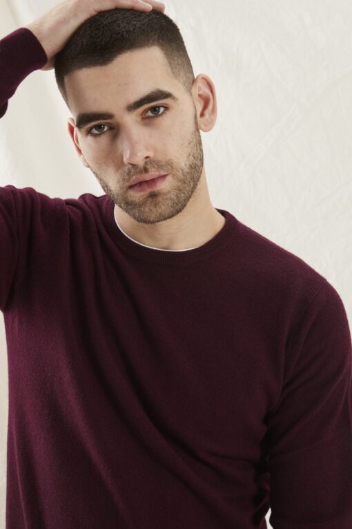 Sheffield pullover • o-neck, cashmere - Image 4