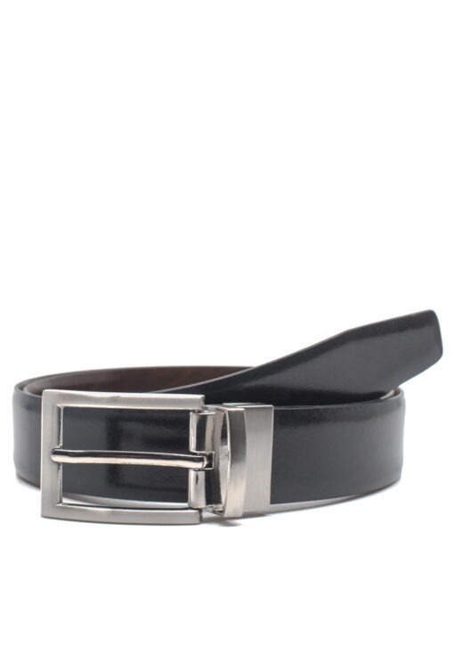 Reversible belt (650)